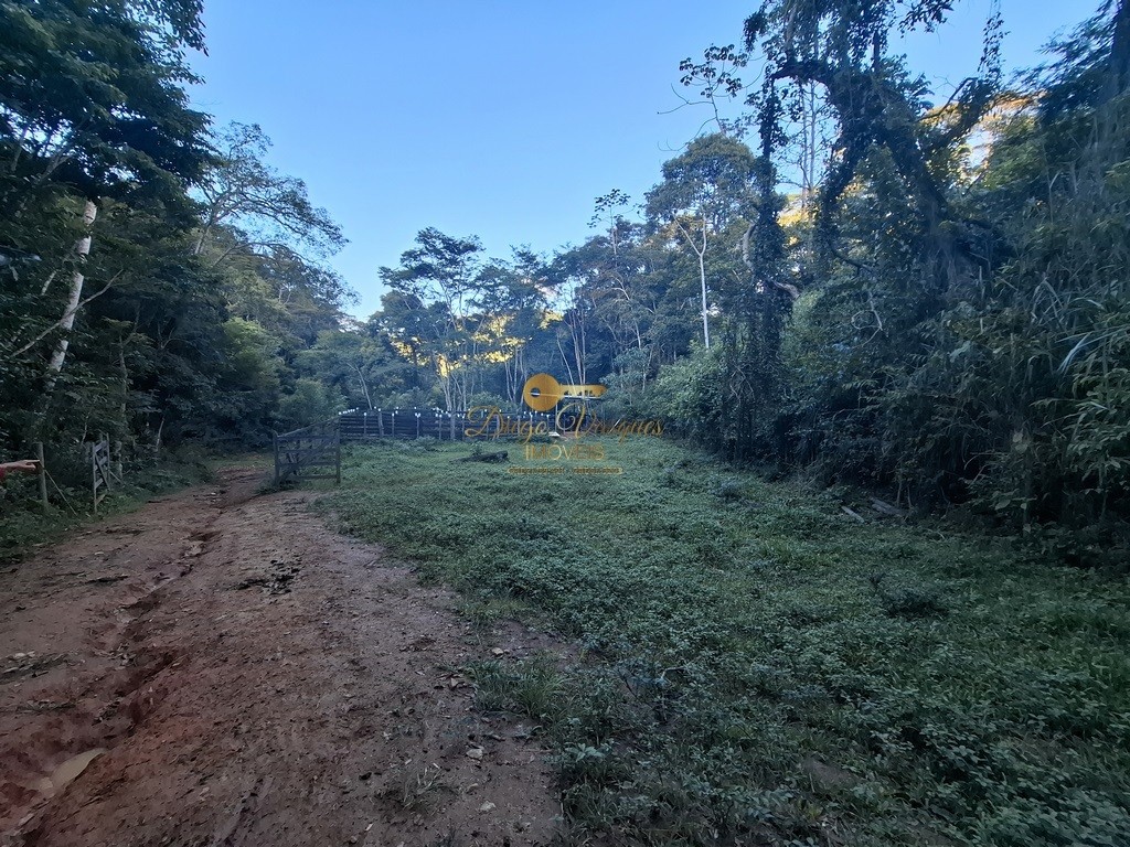 Fazenda, 39 hectares - Foto 62
