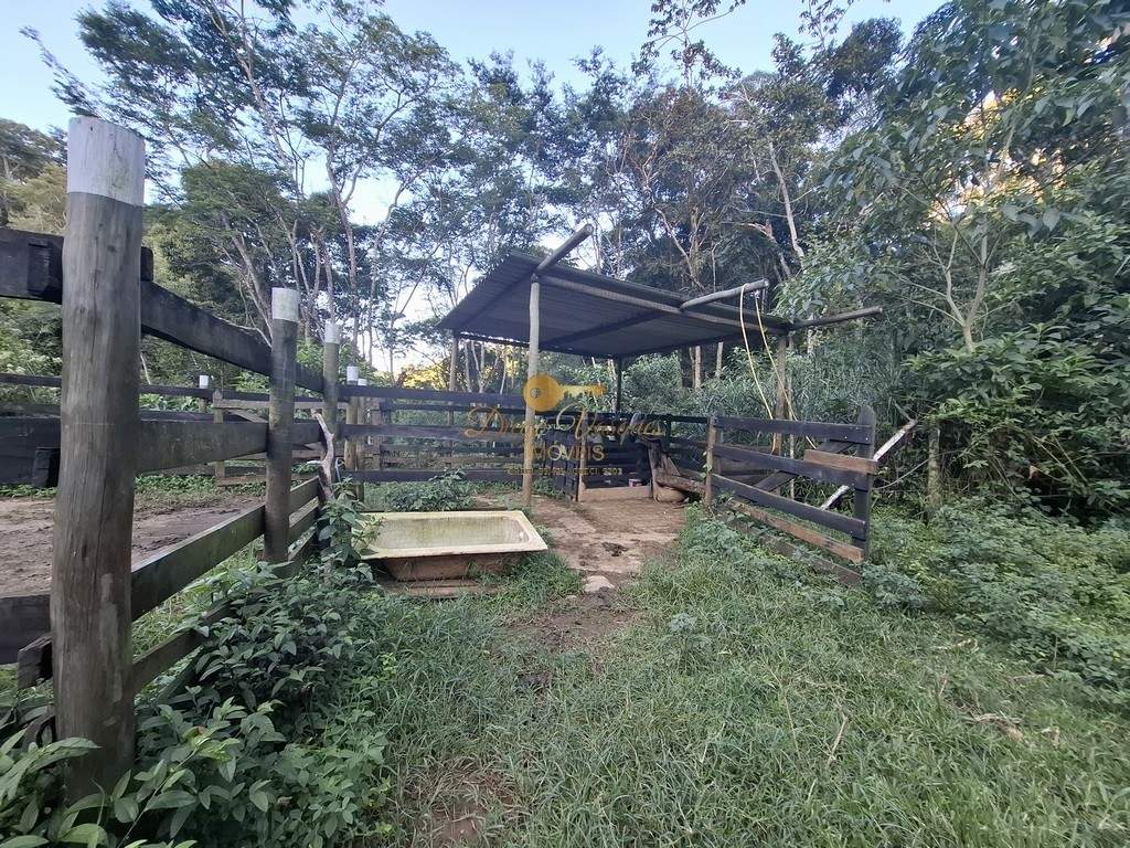 Fazenda, 39 hectares - Foto 63