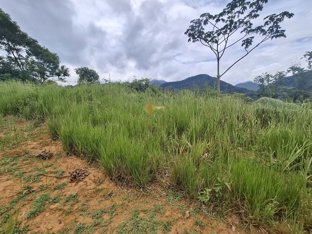 Terreno, 739 m² - Foto 5