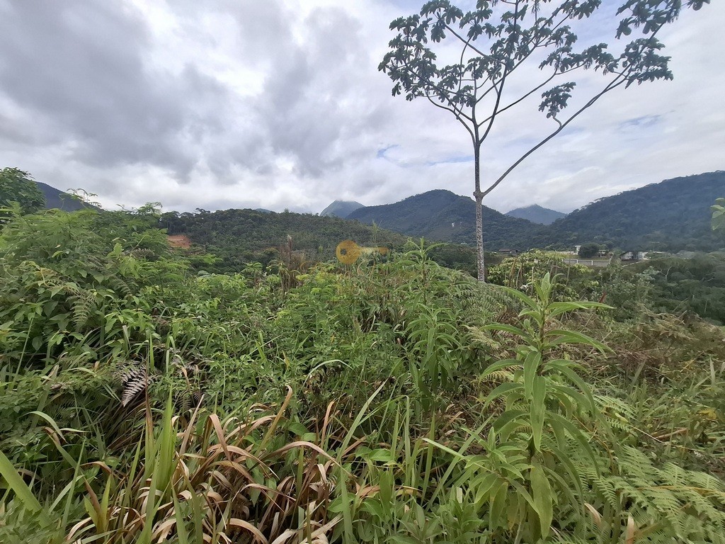 Terreno, 739 m² - Foto 6