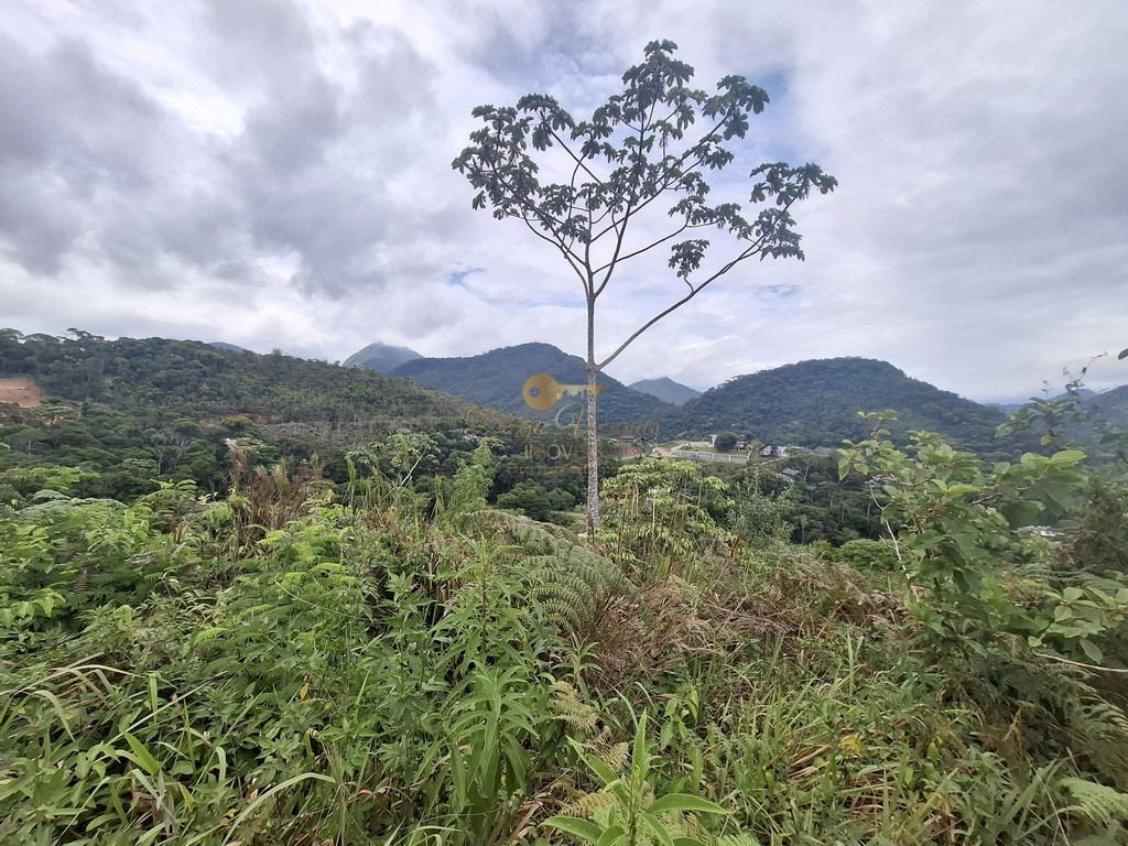 Terreno, 739 m² - Foto 7