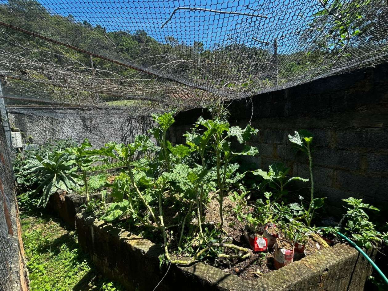 Casa, 4 quartos, 230 m² - Foto 28