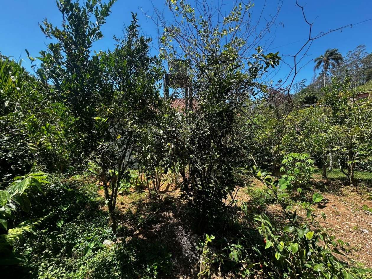 Casa, 4 quartos, 230 m² - Foto 30