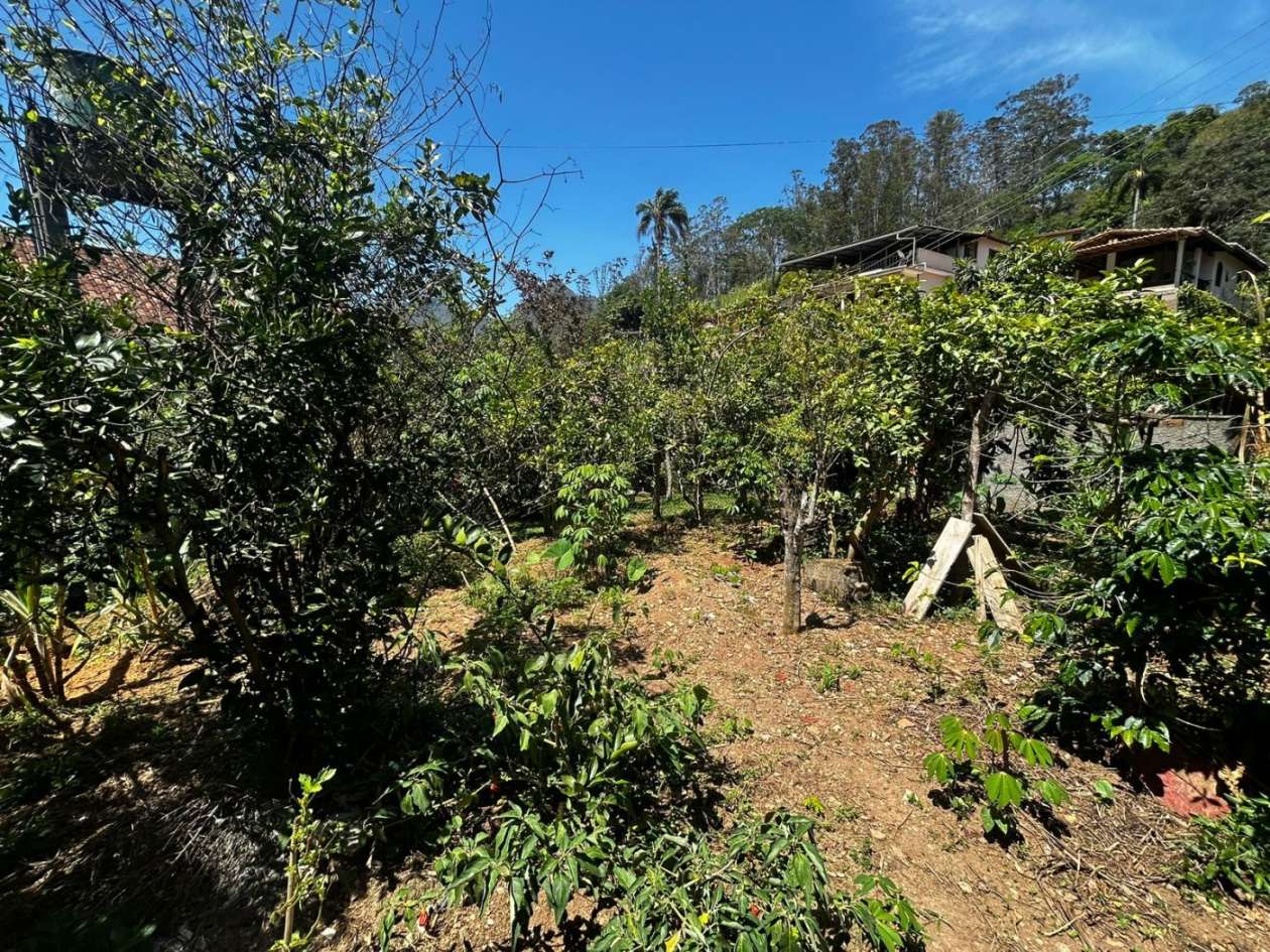 Casa, 4 quartos, 230 m² - Foto 29