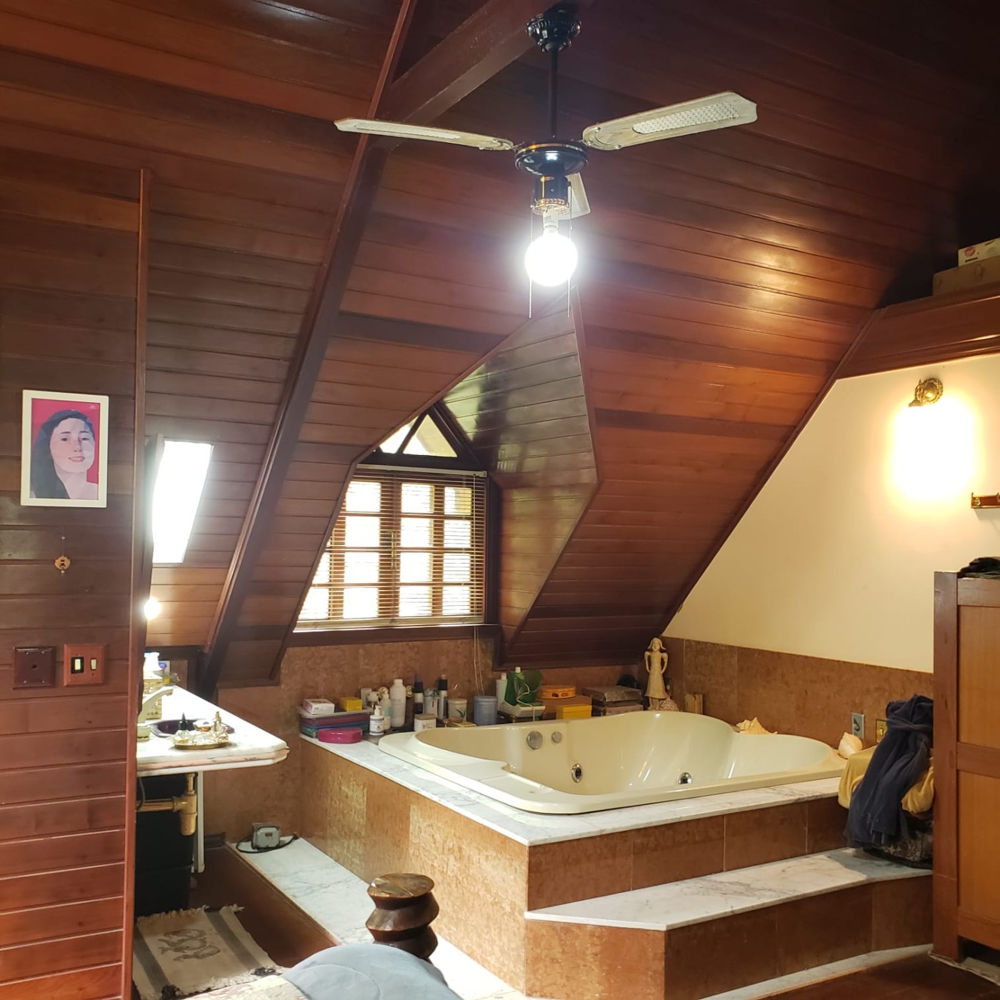 Sítio, 7 quartos, 11 hectares - Foto 15