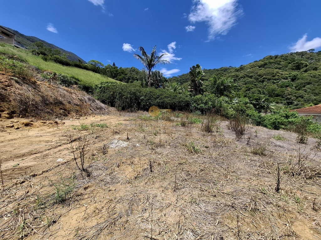 Terreno, 600 m² - Foto 4