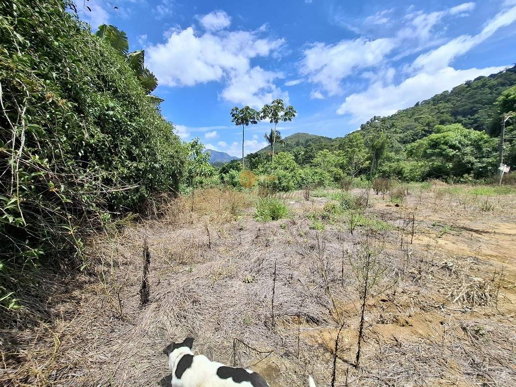 Terreno, 600 m² - Foto 6