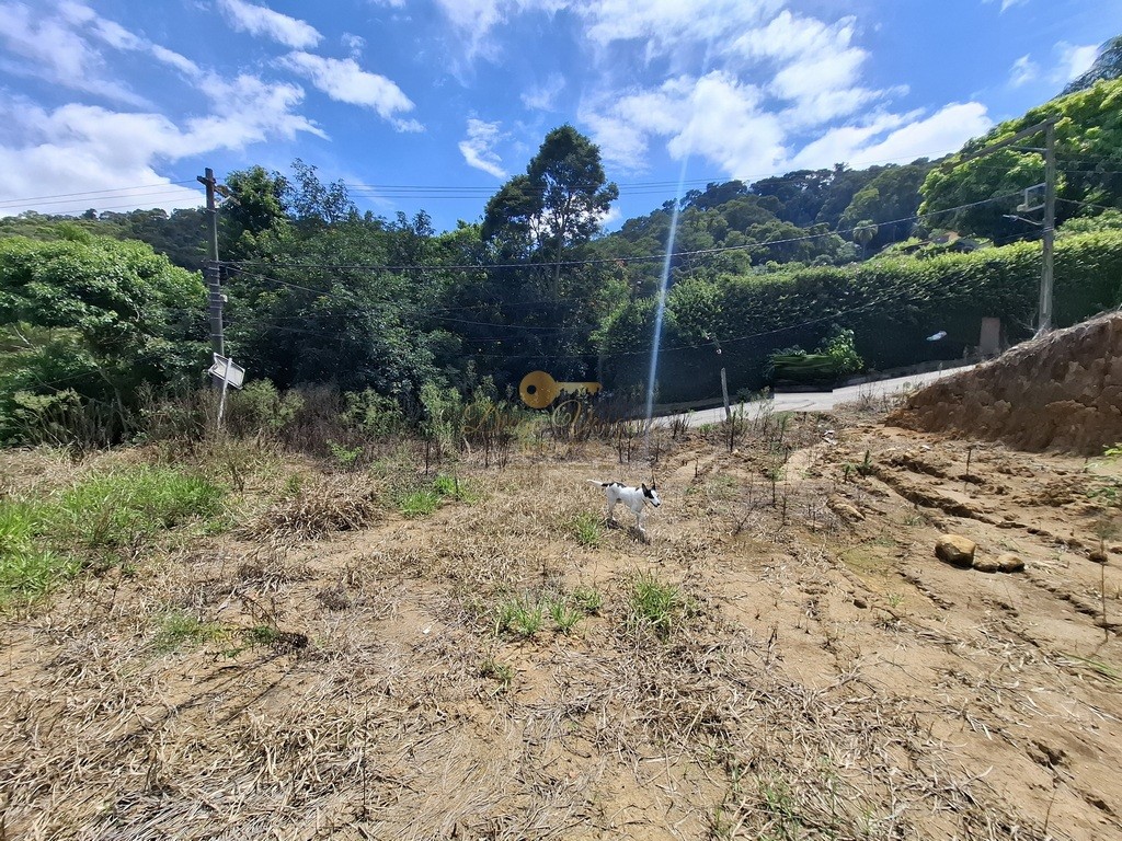 Terreno, 600 m² - Foto 5