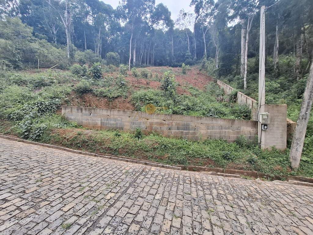 Terreno, 1500 m² - Foto 3