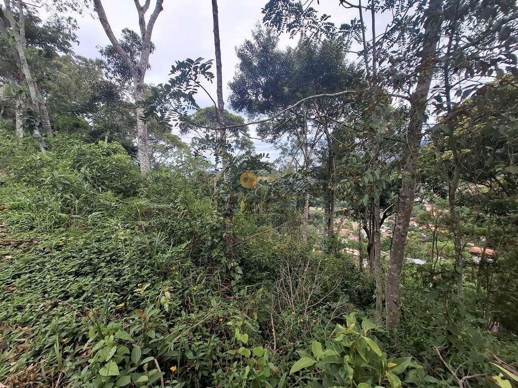 Terreno, 1500 m² - Foto 4