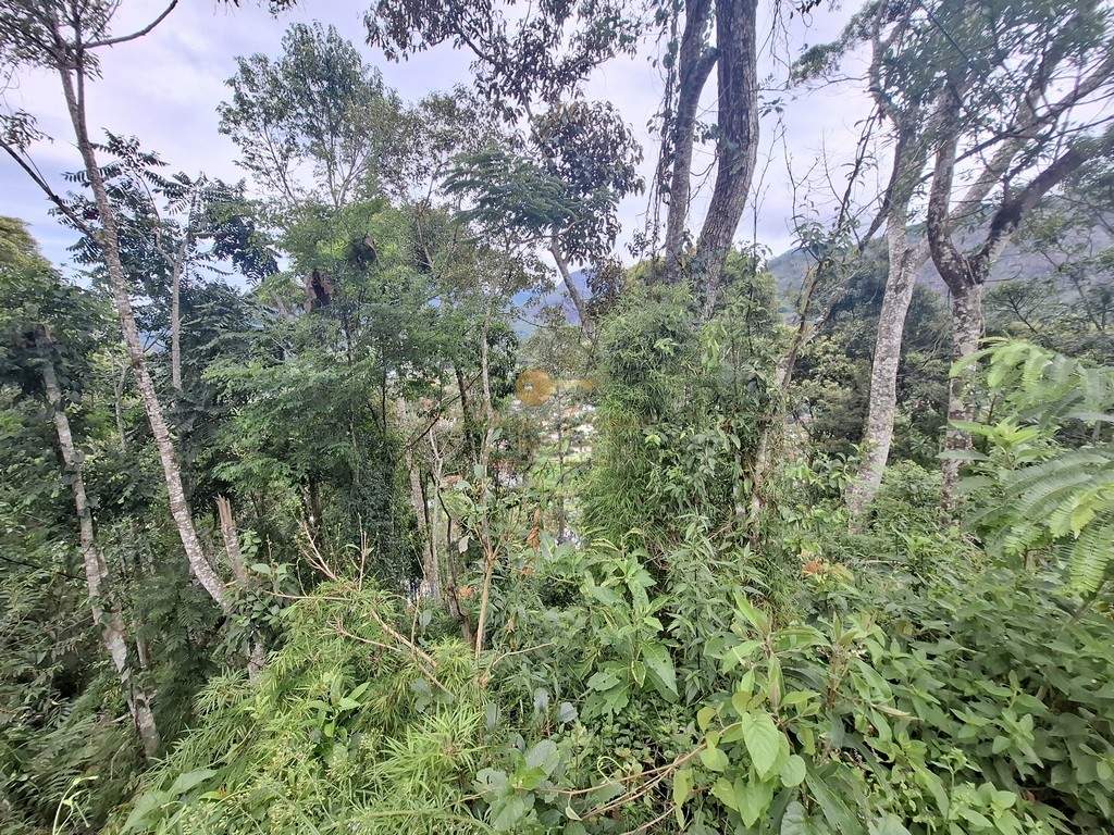 Terreno, 1500 m² - Foto 6