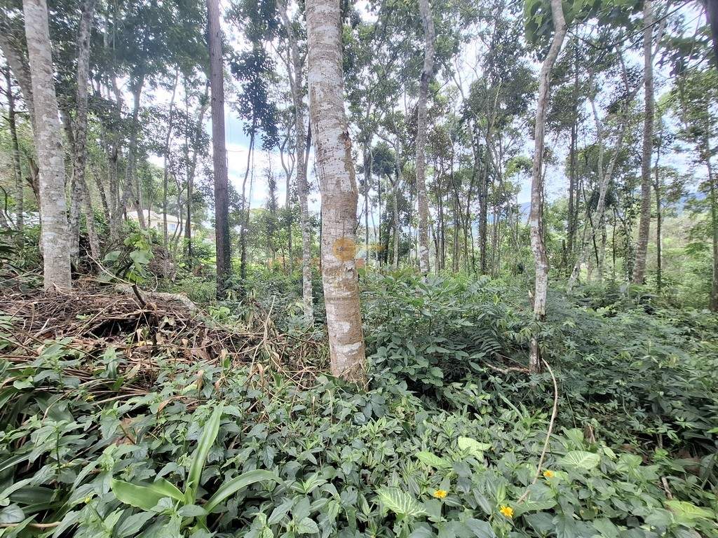 Terreno Residencial à venda em Parque do Imbui, Teresópolis - RJ - Foto 3
