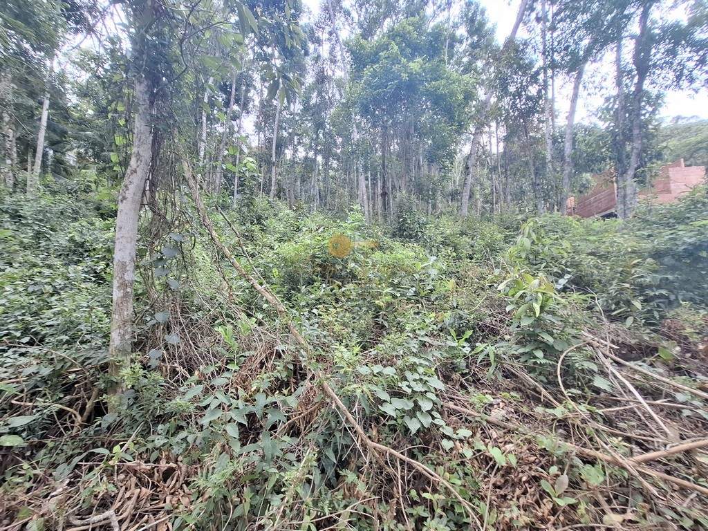 Terreno Residencial à venda em Parque do Imbui, Teresópolis - RJ - Foto 9
