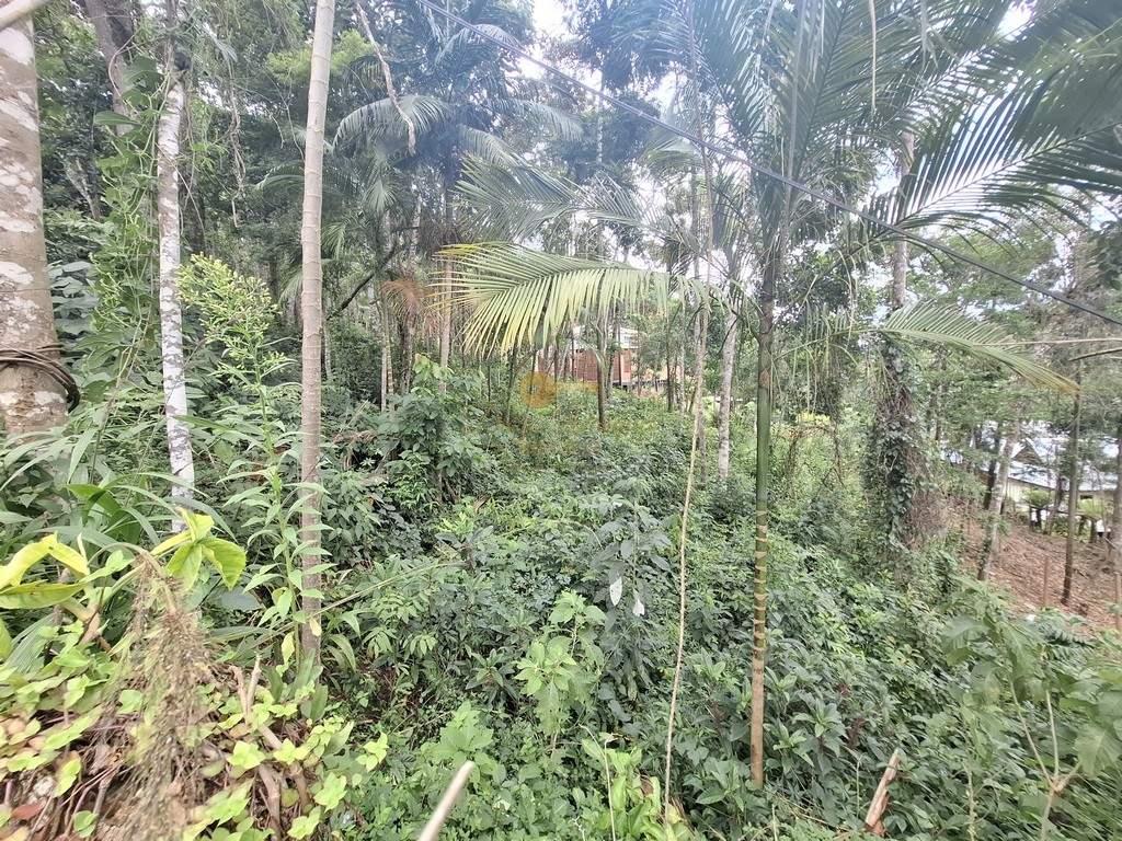 Terreno Residencial à venda em Parque do Imbui, Teresópolis - RJ - Foto 11