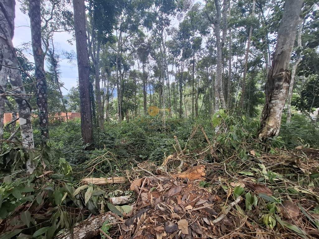 Terreno Residencial à venda em Parque do Imbui, Teresópolis - RJ - Foto 12