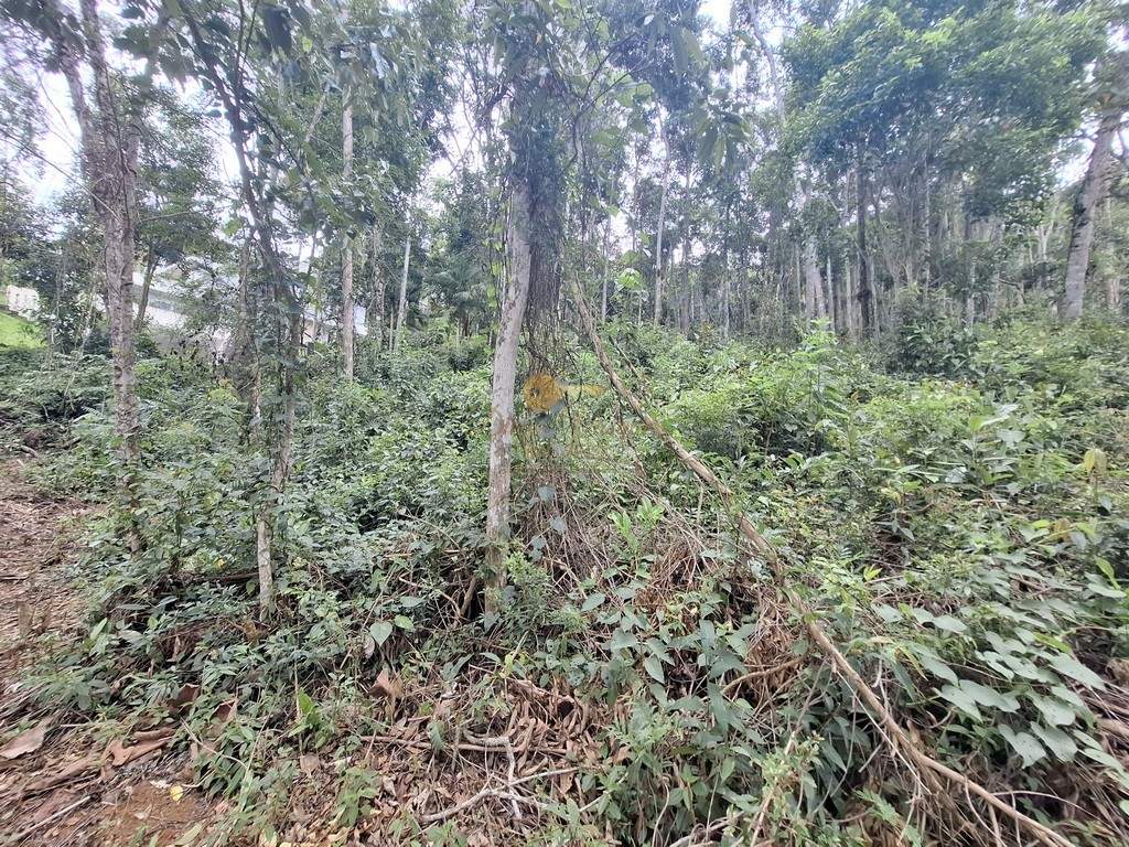 Terreno Residencial à venda em Parque do Imbui, Teresópolis - RJ - Foto 10