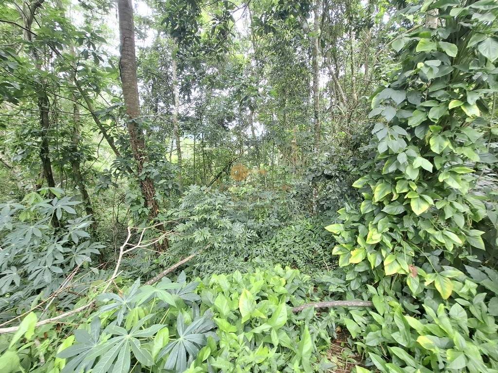 Terreno, 1500 m² - Foto 4