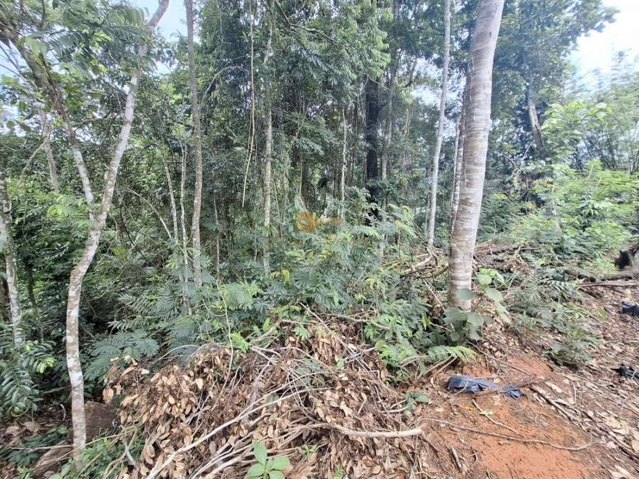 Terreno, 1500 m² - Foto 5