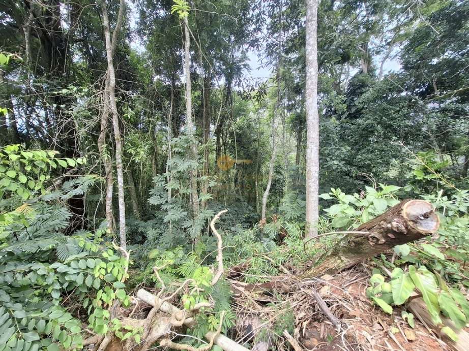 Terreno, 1500 m² - Foto 6