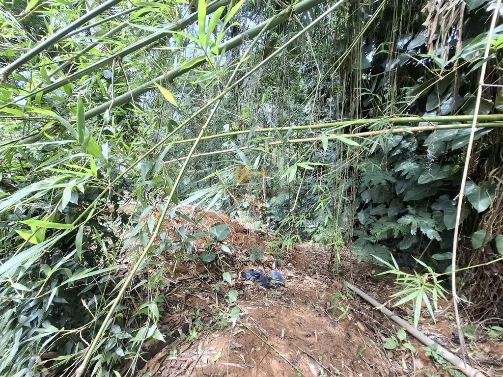 Terreno, 1500 m² - Foto 7