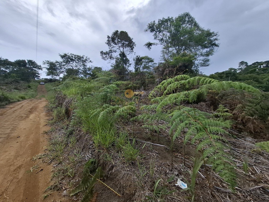 Terreno Residencial à venda em Parque Boa União, Teresópolis - RJ - Foto 14