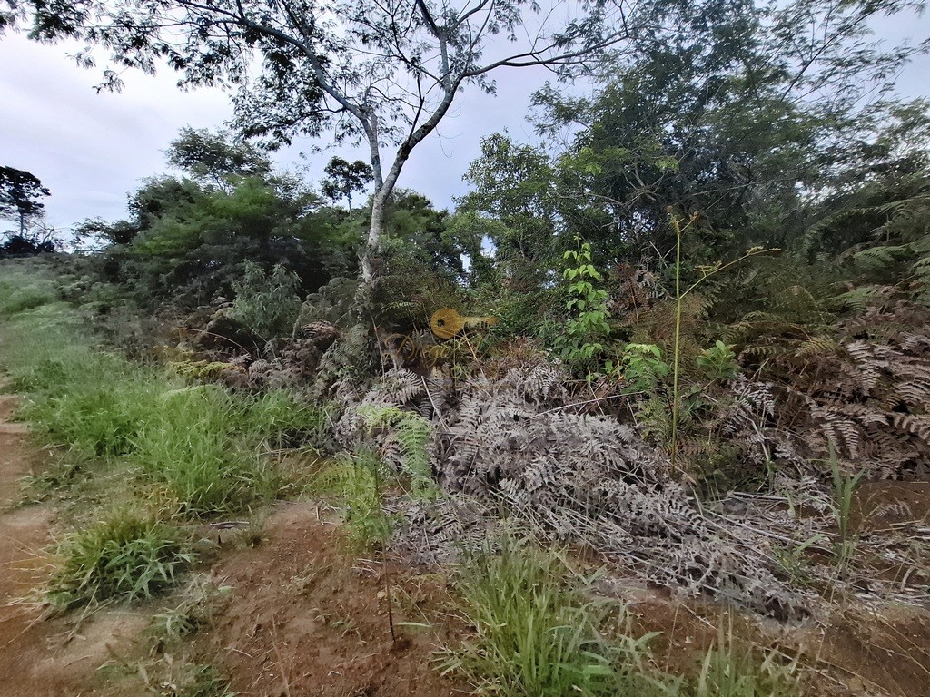 Terreno Residencial à venda em Parque Boa União, Teresópolis - RJ - Foto 17