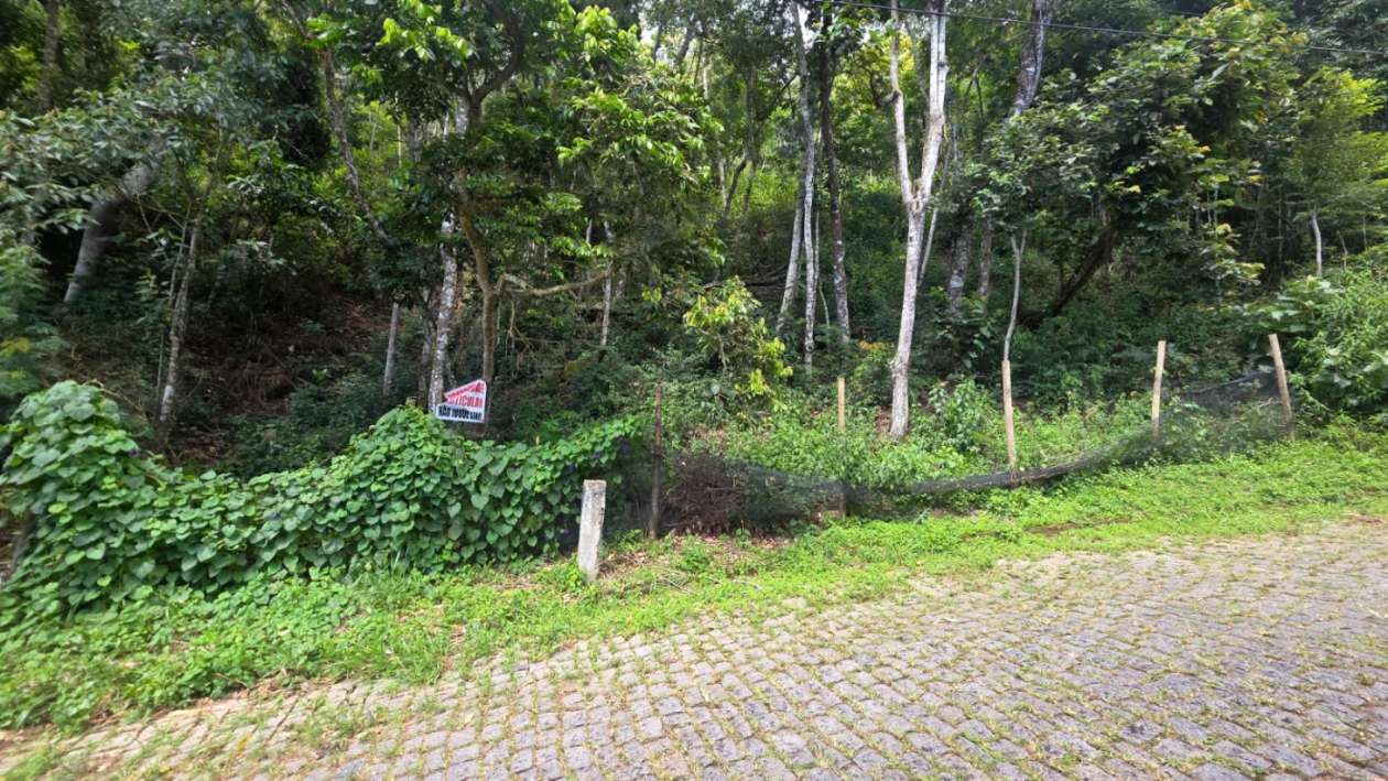 Terreno, 800 m² - Foto 4