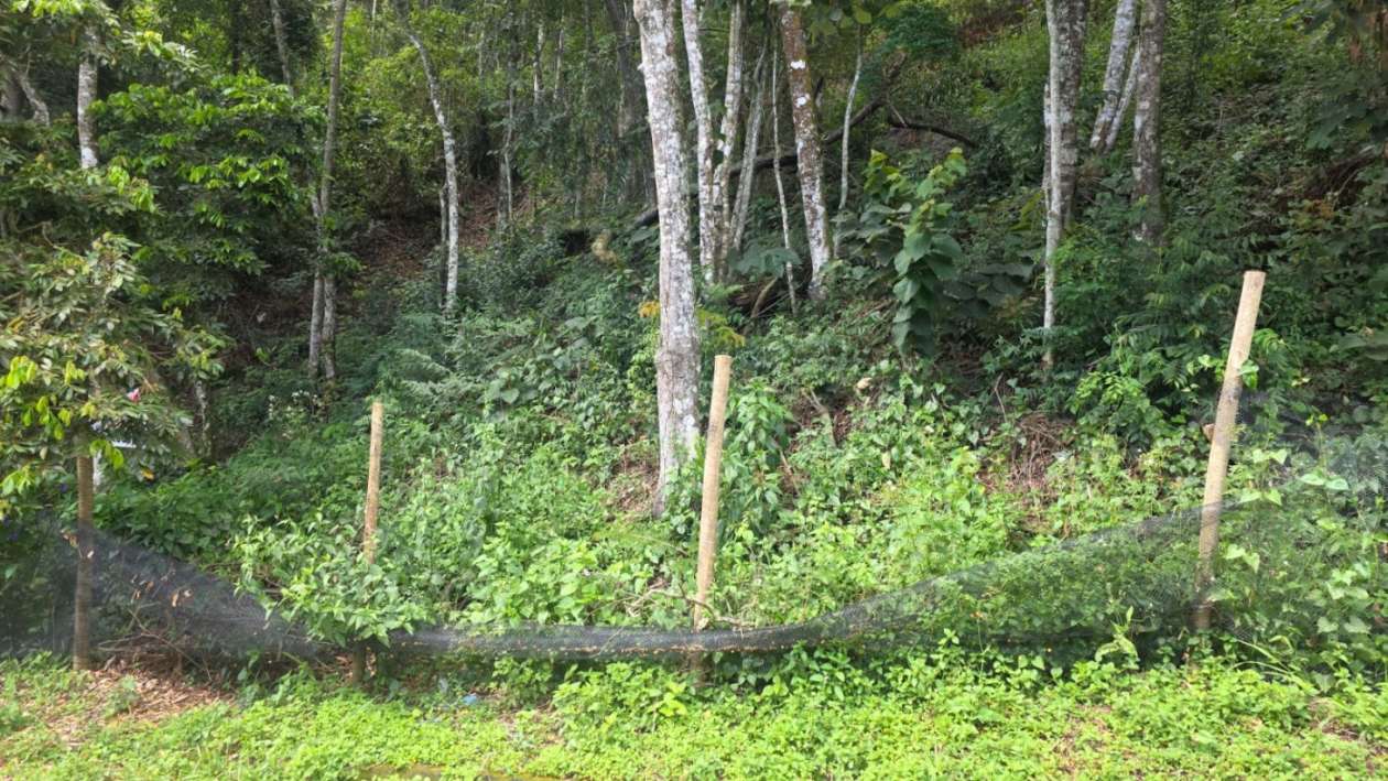 Terreno, 800 m² - Foto 2