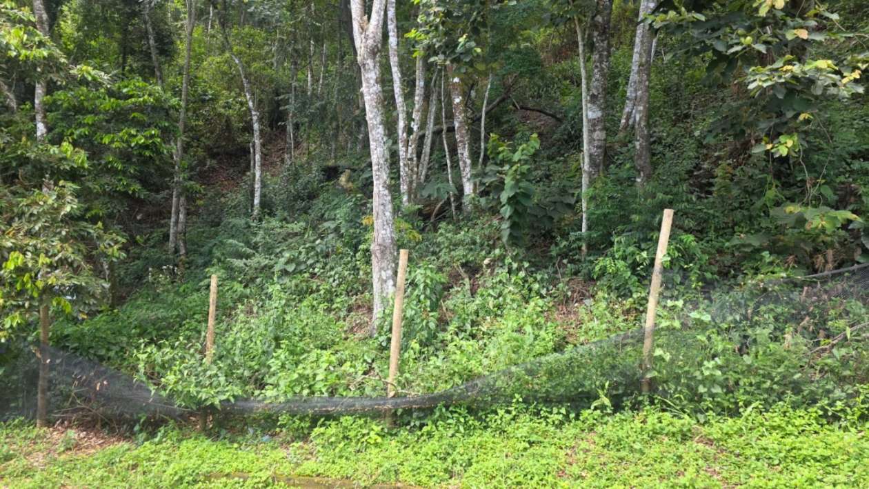 Terreno, 800 m² - Foto 3