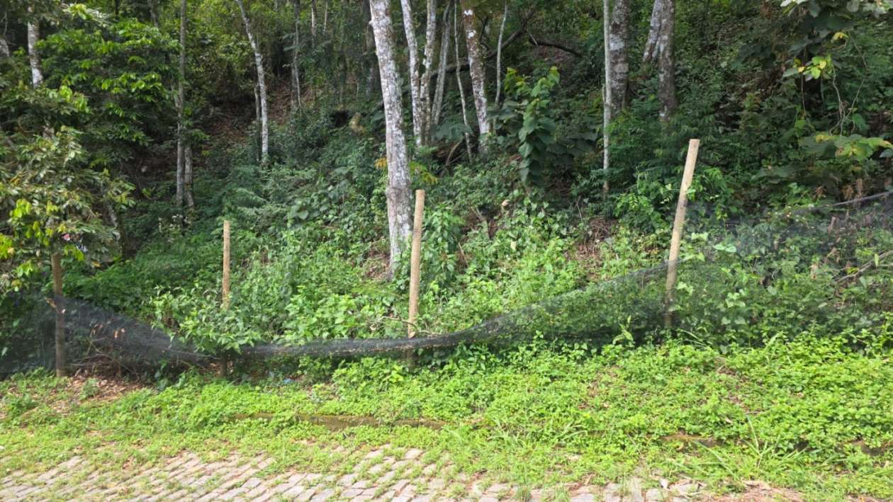 Terreno, 800 m² - Foto 6