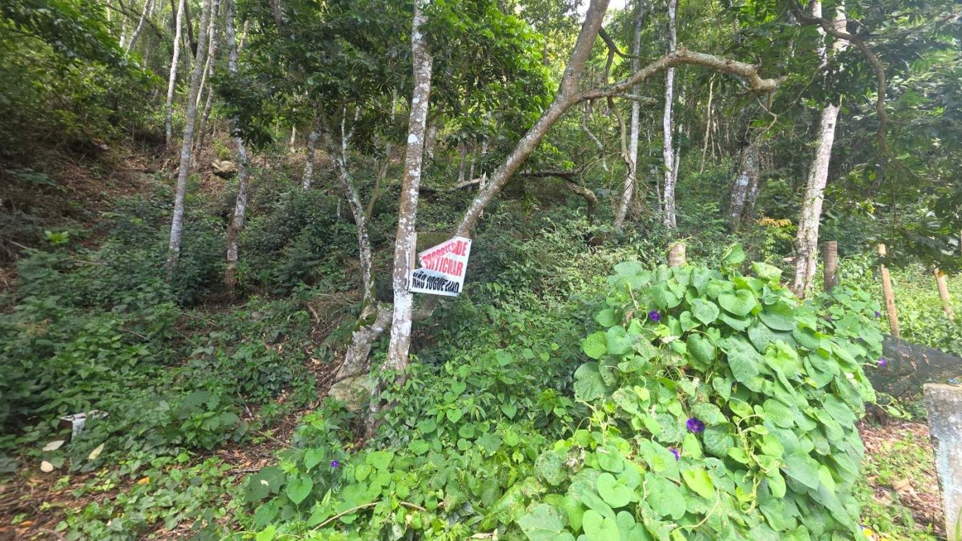 Terreno, 800 m² - Foto 7