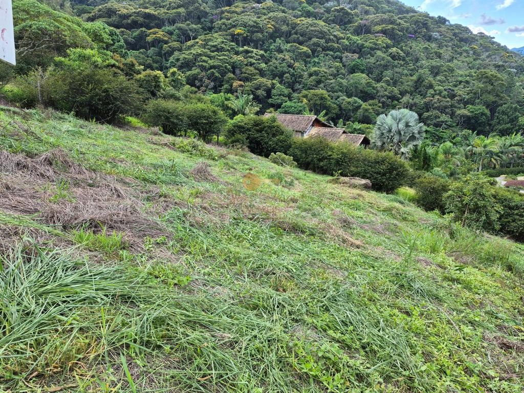 Terreno, 450 m² - Foto 5