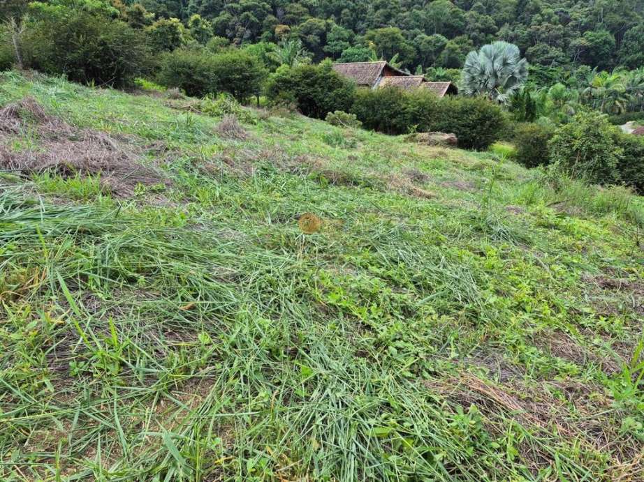 Terreno, 450 m² - Foto 6