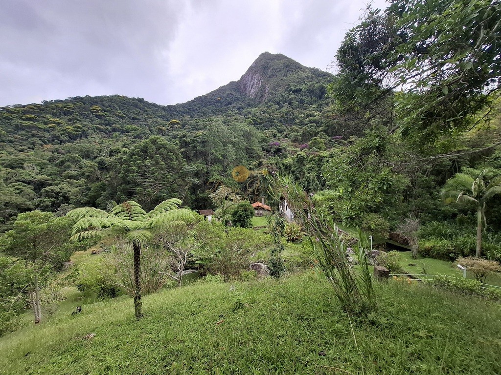 Sítio, 3 quartos, 6 hectares - Foto 37