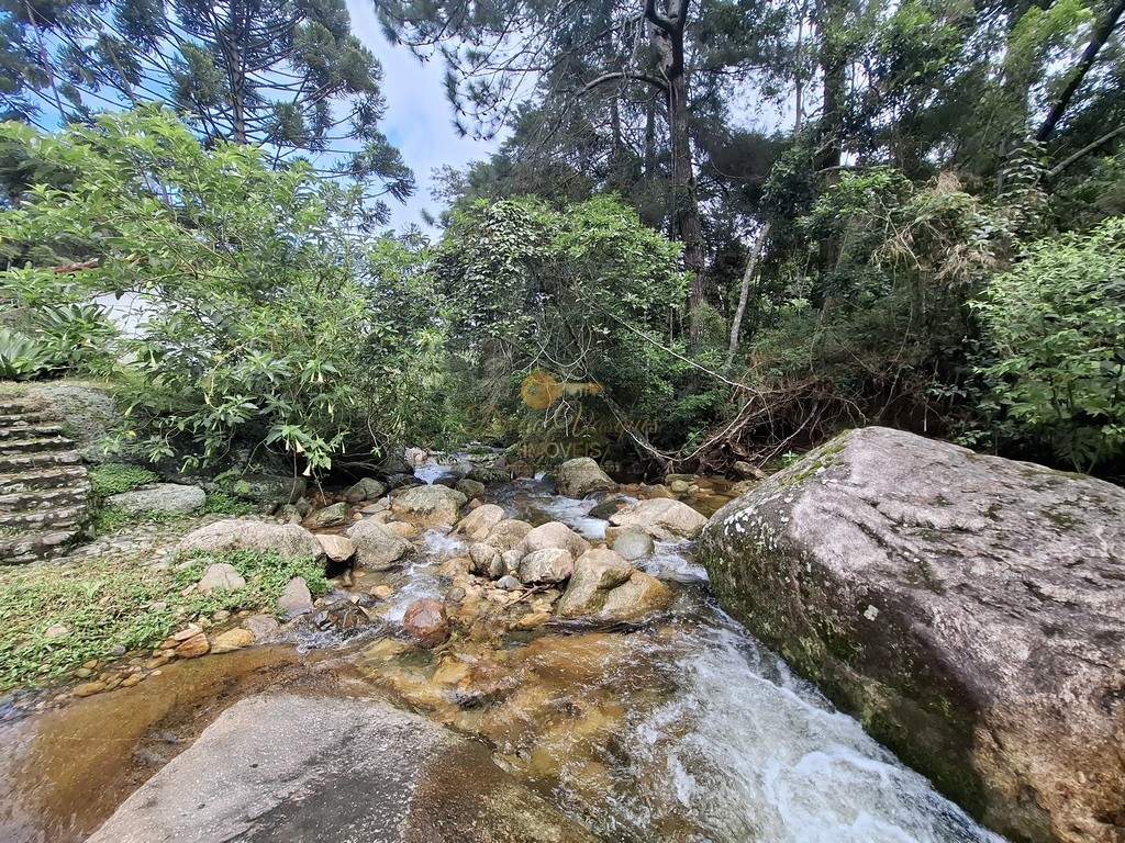 Sítio, 3 quartos, 6 hectares - Foto 49