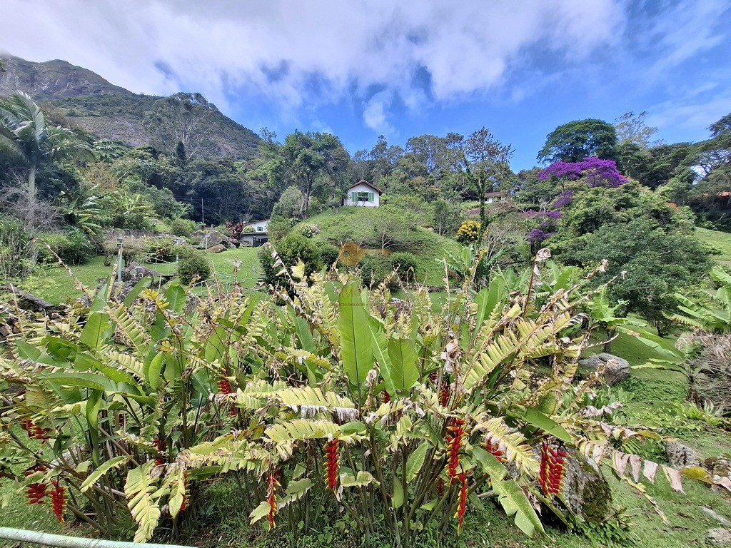 Sítio, 3 quartos, 6 hectares - Foto 50