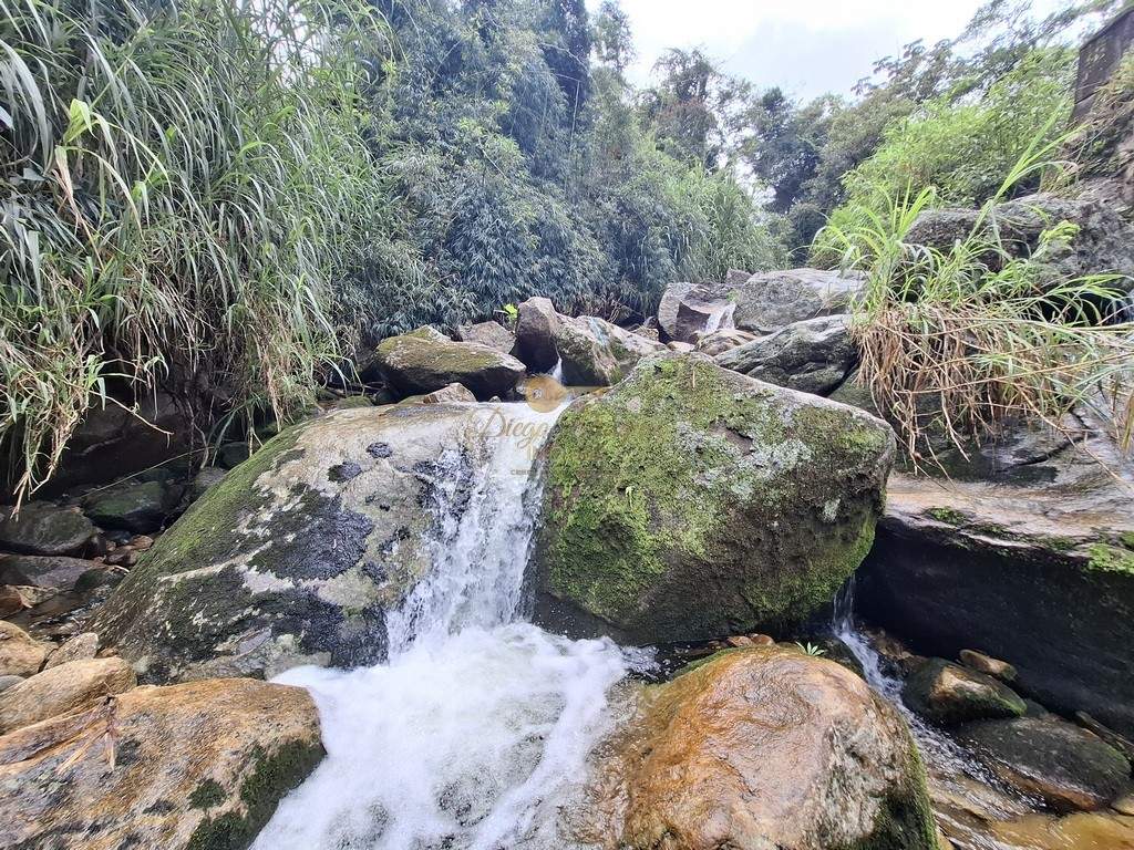 Sítio, 3 quartos, 6 hectares - Foto 48