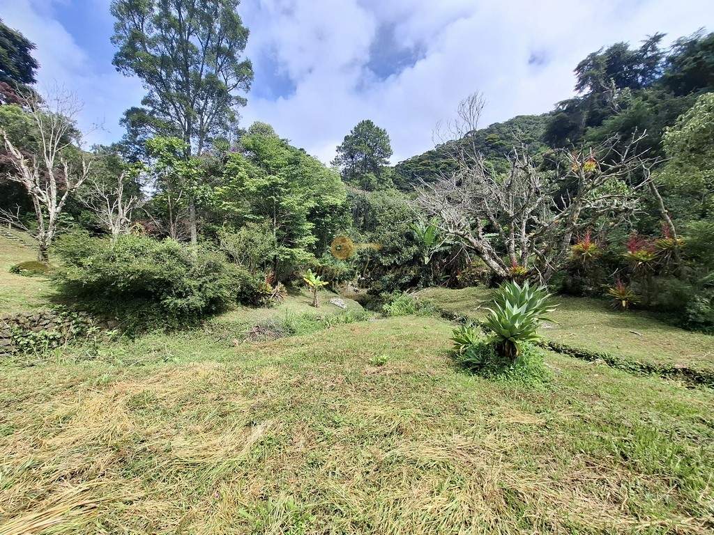 Sítio, 3 quartos, 6 hectares - Foto 56