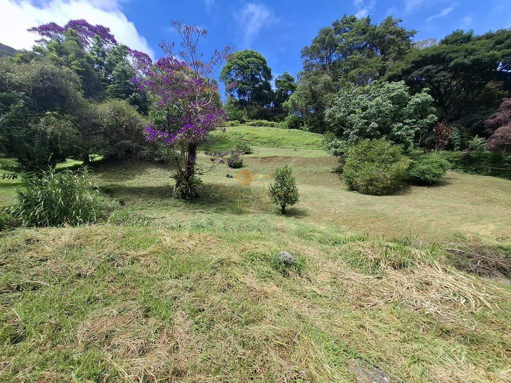 Sítio, 3 quartos, 6 hectares - Foto 58