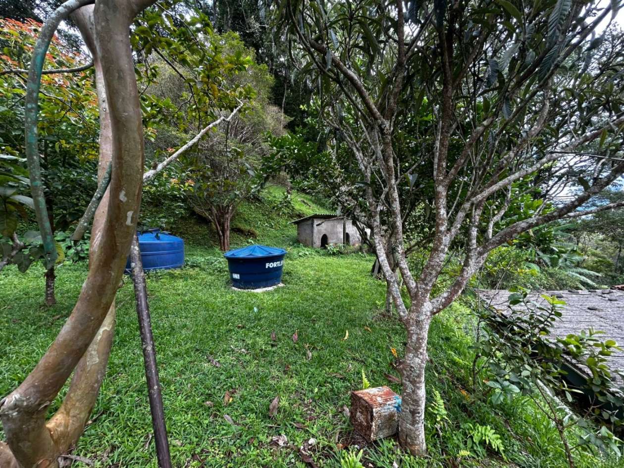 Casa, 4 quartos, 207 m² - Foto 38