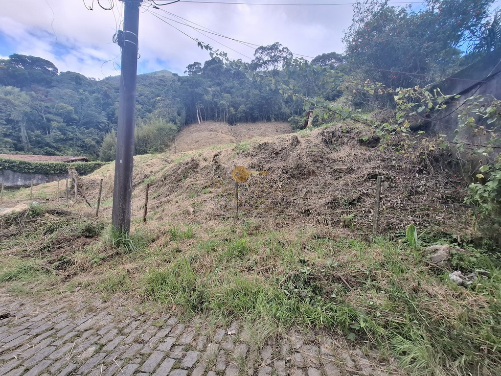 Terreno Residencial à venda em Carlos Guinle, Teresópolis - RJ - Foto 3