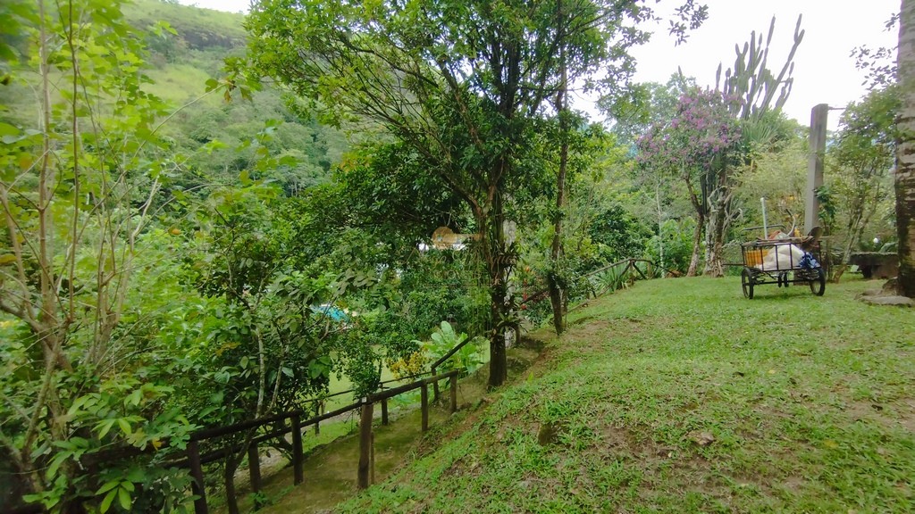 Casa, 4 quartos, 338 m² - Foto 47