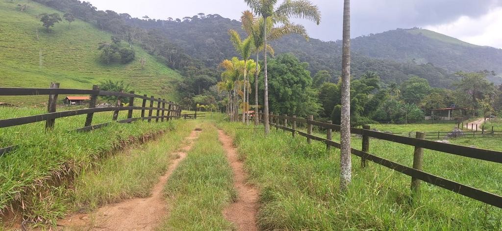 Outros à venda em Venda Nova, Teresópolis - RJ - Foto 36