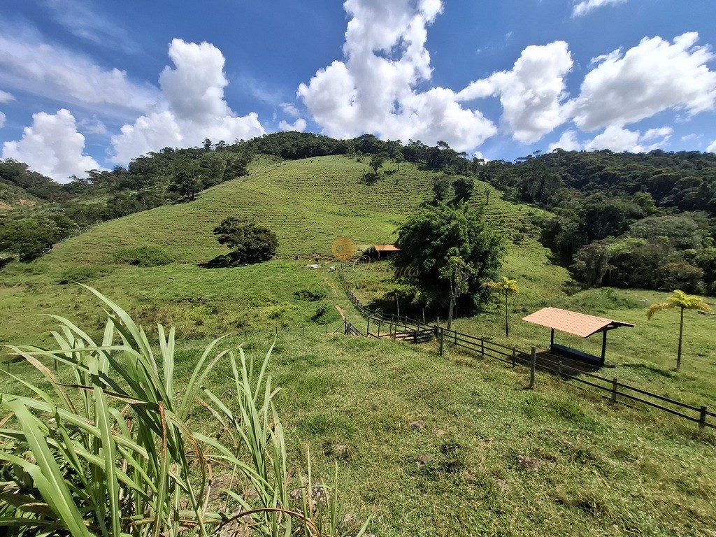 Outros à venda em Venda Nova, Teresópolis - RJ - Foto 38