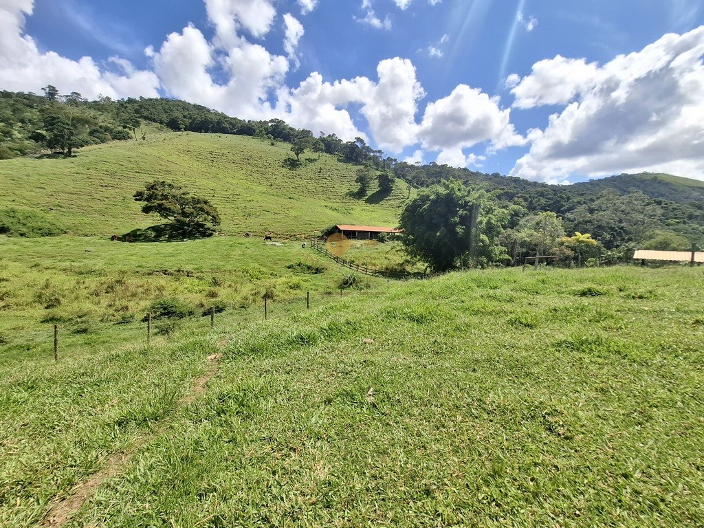 Outros à venda em Venda Nova, Teresópolis - RJ - Foto 42