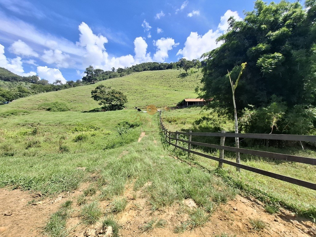 Outros à venda em Venda Nova, Teresópolis - RJ - Foto 43
