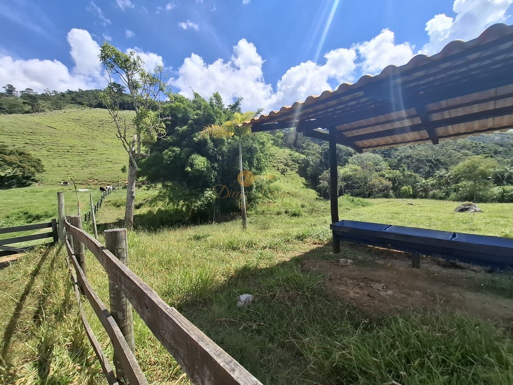 Outros à venda em Venda Nova, Teresópolis - RJ - Foto 44