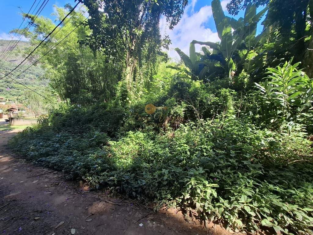 Terreno Residencial à venda em Parque do Imbui, Teresópolis - RJ - Foto 5