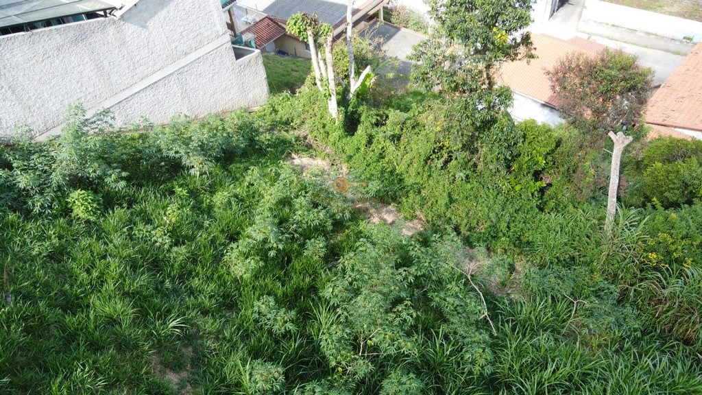 Terreno Residencial à venda em Prata, Teresópolis - RJ - Foto 3