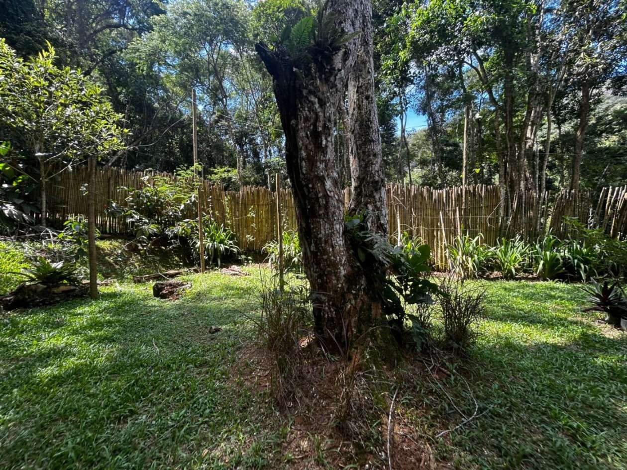 Terreno, 770 m² - Foto 4